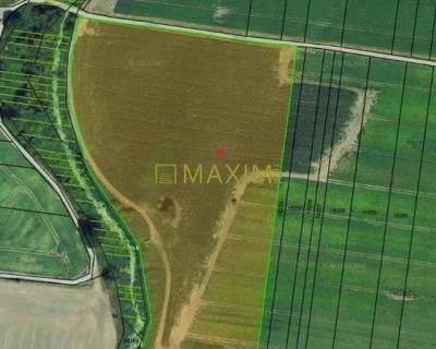 Pozemok v obci Gajary 43