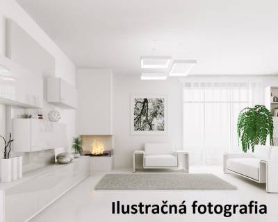 Pre konkrétneho klienta hľadáme 1 izbový byt v Nitre 31