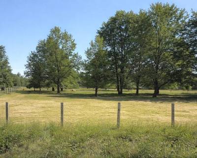 PREDAJ - Rozľahlý, slnečný pozemok s výmerou 3 335 m2 - Malý Háj 35