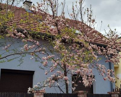 6-izbový rodinný dom s veľkou záhradou v Stupave na ulici Cintorínska 7