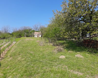 Rekreačný pozemok s chatkou a panoram. výhľadom – Stupava, Vrchná hora 35