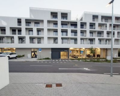 112815-image-28223890