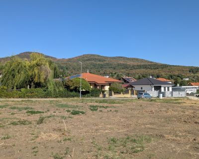 115935-image-28488267